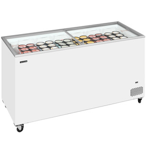 Glassfrys med glaslock IC501SC | 430L (1)