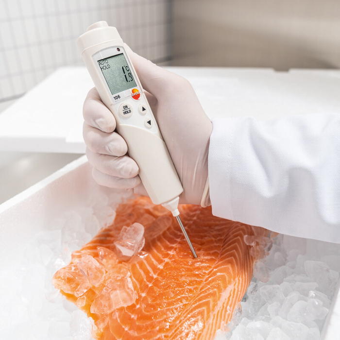 Mattermometer Testo 106 (2)